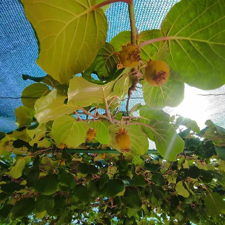 Istriamazing Appartement Pula