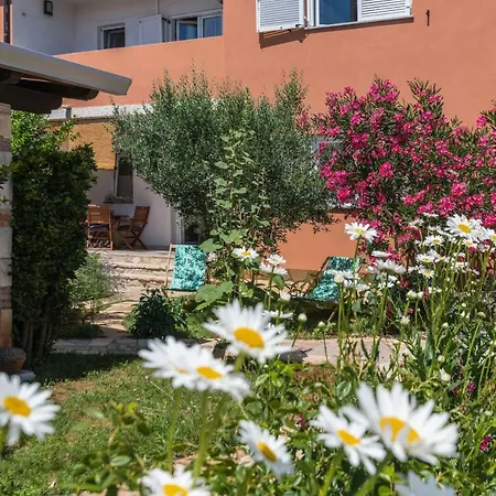 Istriamazing Appartement